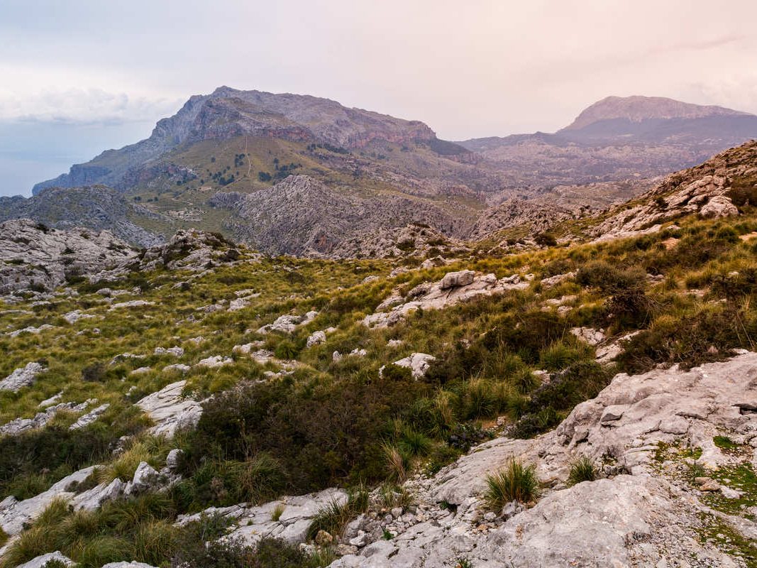 Mallorca4