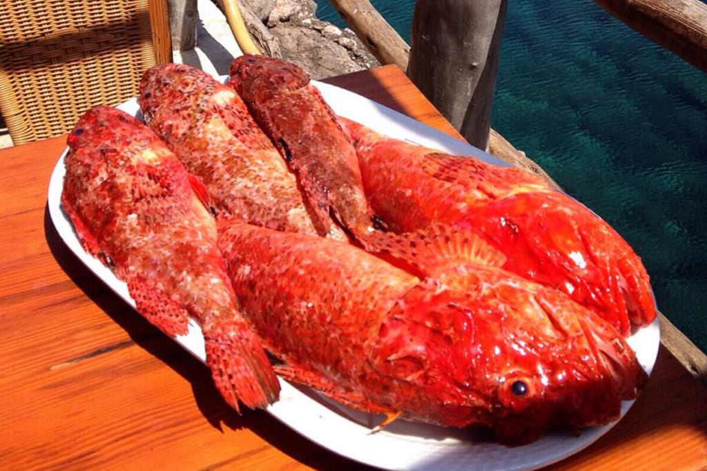petitdeia-mallorca-cas-patro-march4