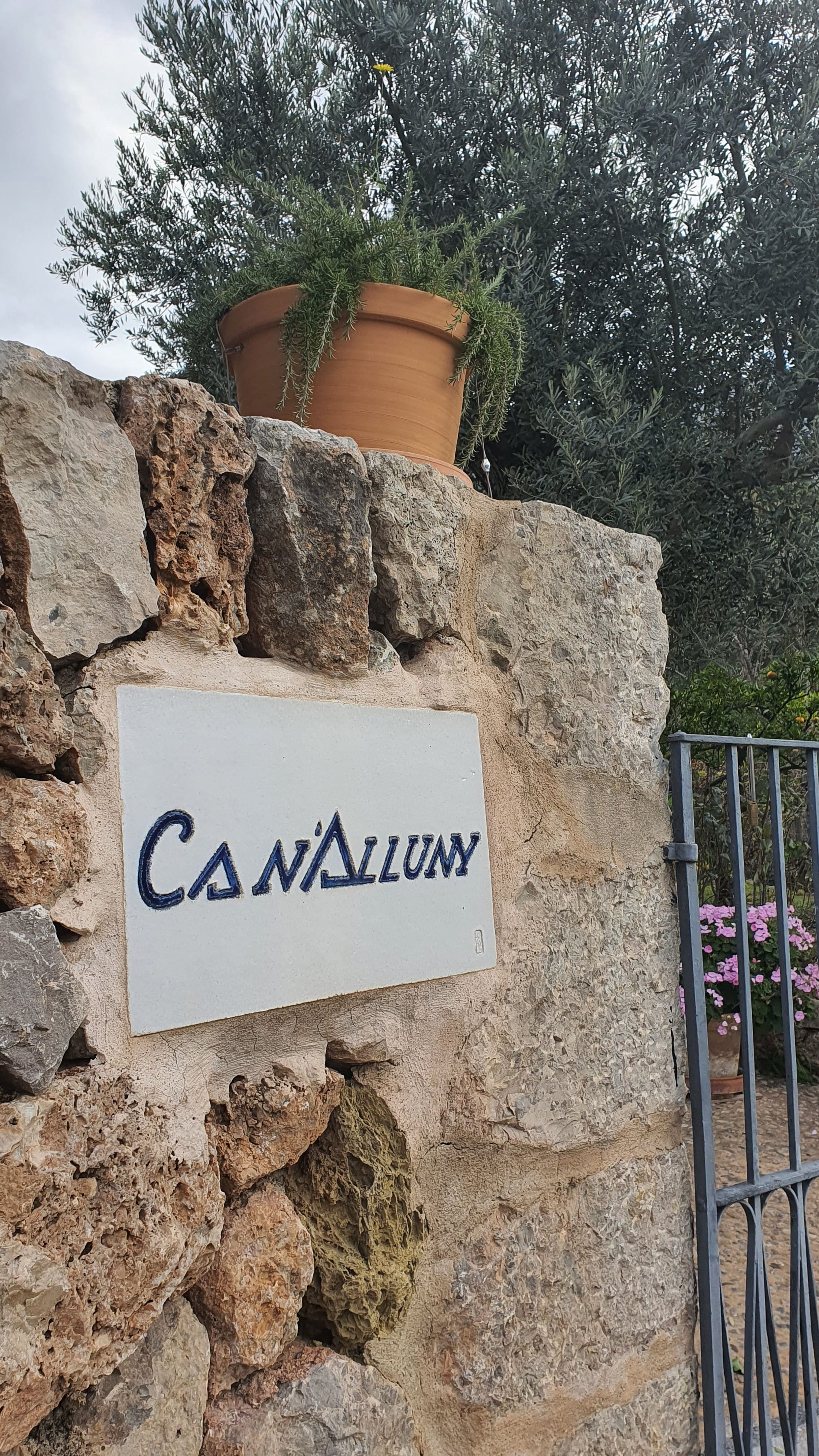 petitdeia-mallorca-casa-robert-graves10