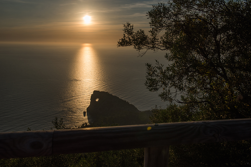 petitdeia-mallorca-sa-foradada8