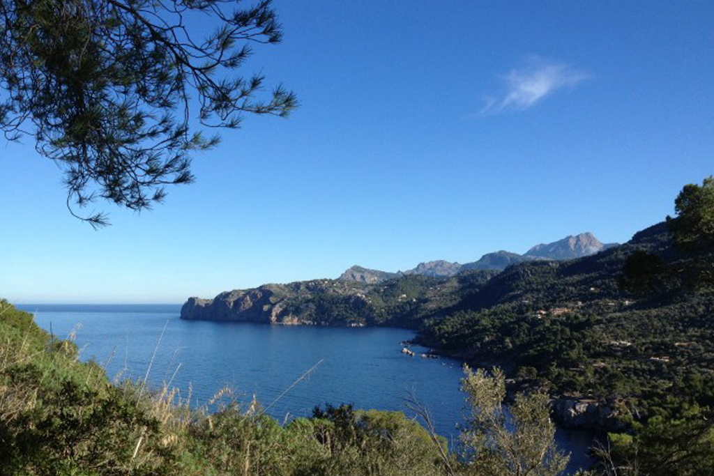 petitdeia-mallorca-cami-des-clot1