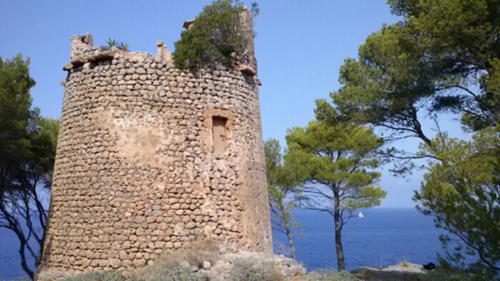 petitdeia-mallorca-cami-des-clot2