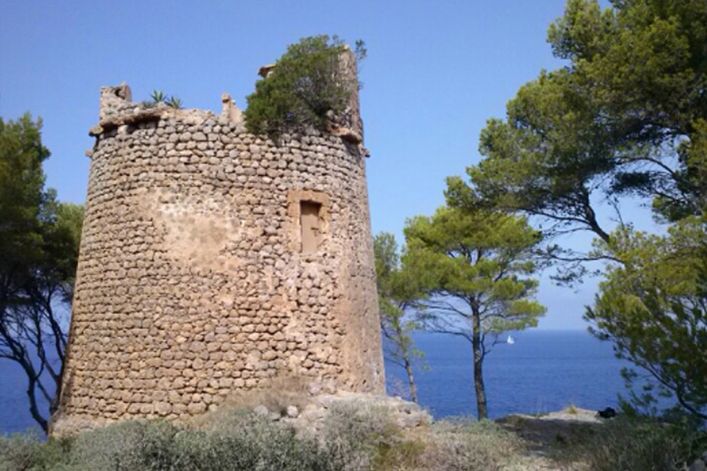 petitdeia-mallorca-cami-des-clot2