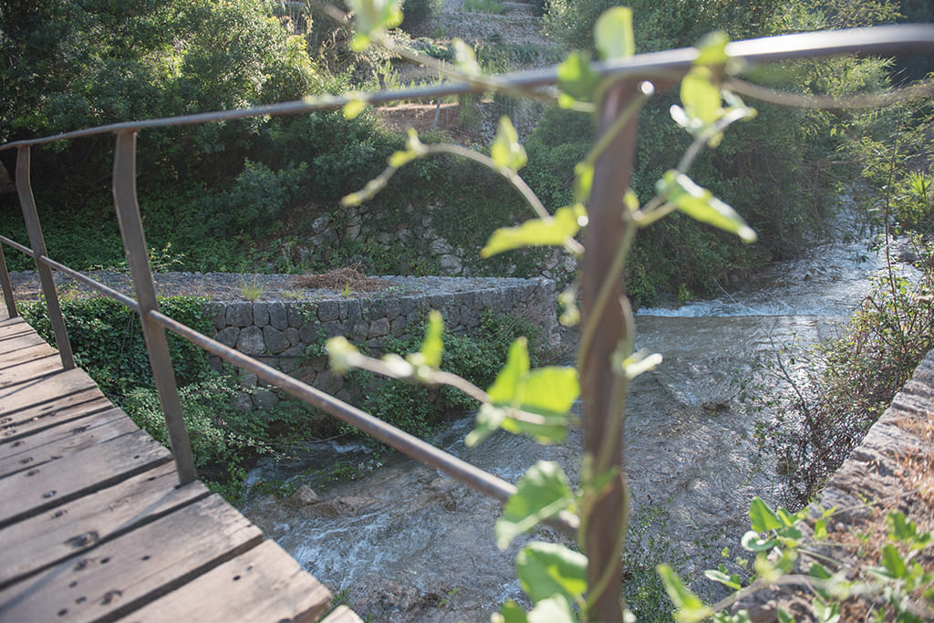 petitdeia-mallorca-cami-des-clot3