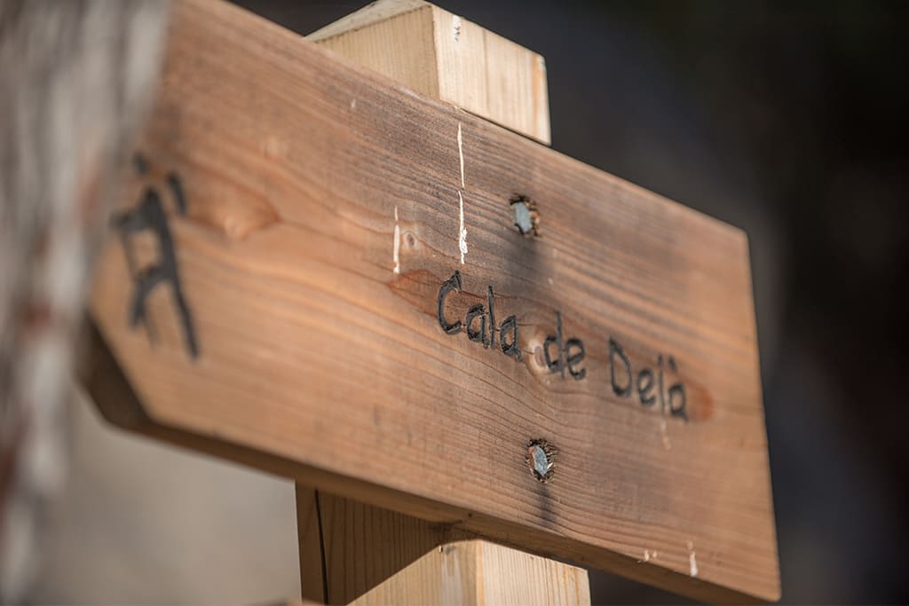 petitdeia-mallorca-cami-des-clot5